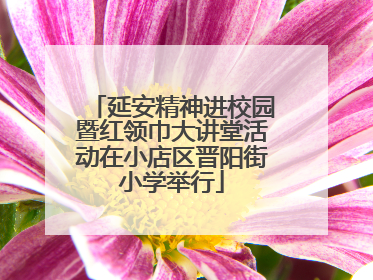 延安精神进校园暨红领巾大讲堂活动在小店区晋阳街小学举行