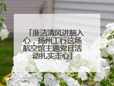 廉洁清风进脑入心，扬州工行这场航空馆主题党日活动扎实走心