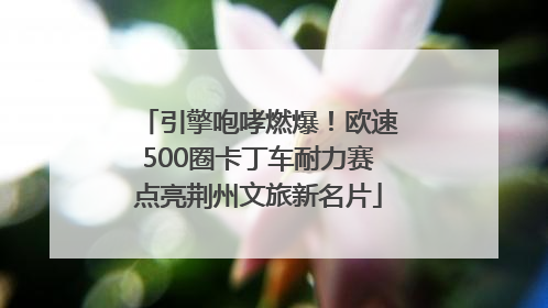 引擎咆哮燃爆！欧速500圈卡丁车耐力赛点亮荆州文旅新名片