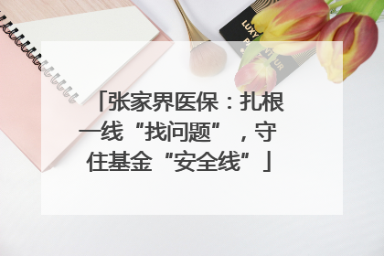 张家界医保：扎根一线“找问题”，守住基金“安全线”