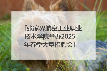 张家界航空工业职业技术学院举办2025年春季大型招聘会