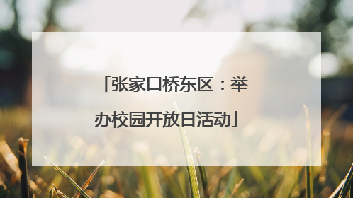 张家口桥东区：举办校园开放日活动