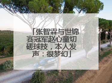 张智霖与世锦赛冠军赵心童切磋球技，本人发声：很梦幻