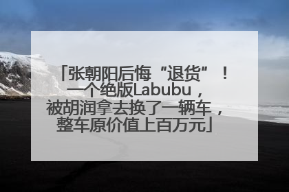 张朝阳后悔“退货”！一个绝版Labubu，被胡润拿去换了一辆车，整车原价值上百万元