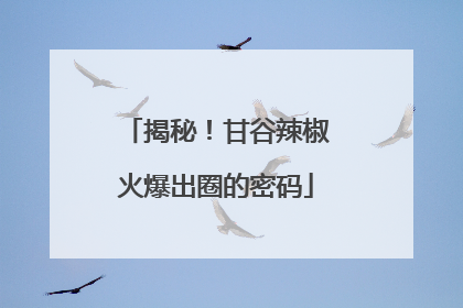 揭秘！甘谷辣椒火爆出圈的密码