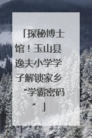 探秘博士馆！玉山县逸夫小学学子解锁家乡“学霸密码”
