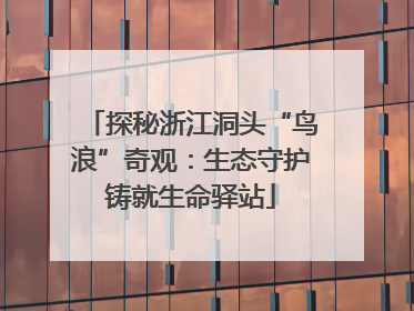 探秘浙江洞头“鸟浪”奇观：生态守护铸就生命驿站