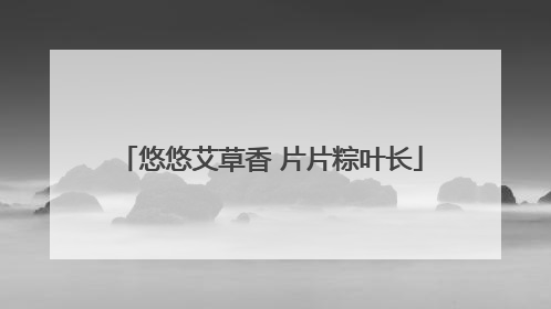 悠悠艾草香 片片粽叶长