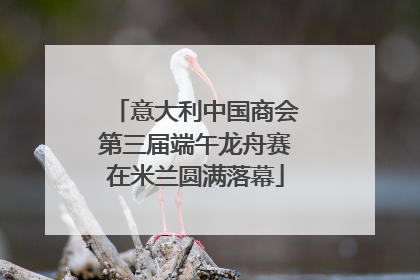 意大利中国商会第三届端午龙舟赛在米兰圆满落幕