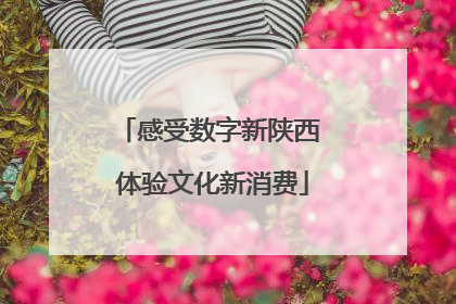 感受数字新陕西 体验文化新消费