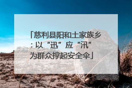 慈利县阳和土家族乡：以“迅”应“汛” 为群众撑起安全伞