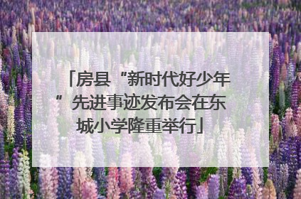房县“新时代好少年”先进事迹发布会在东城小学隆重举行