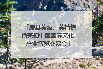 房县黄酒、黄精惊艳亮相中国国际文化产业博览交易会