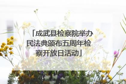成武县检察院举办民法典颁布五周年检察开放日活动