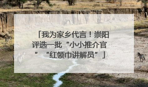 我为家乡代言！崇阳评选一批“小小推介官”“红领巾讲解员”
