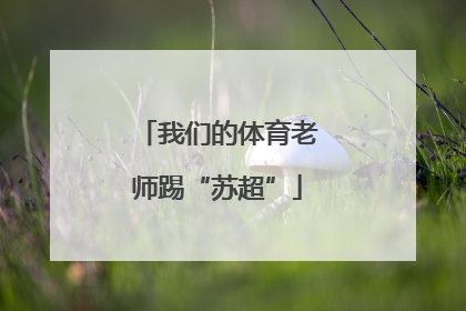 我们的体育老师踢“苏超”