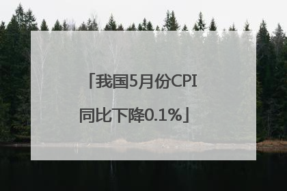 我国5月份CPI同比下降0.1%