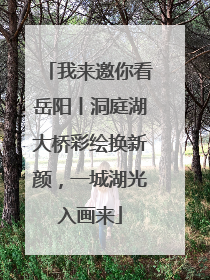 我来邀你看岳阳丨洞庭湖大桥彩绘换新颜，一城湖光入画来