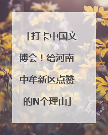 打卡中国文博会！给河南中牟新区点赞的N个理由
