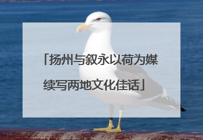 扬州与叙永以荷为媒续写两地文化佳话