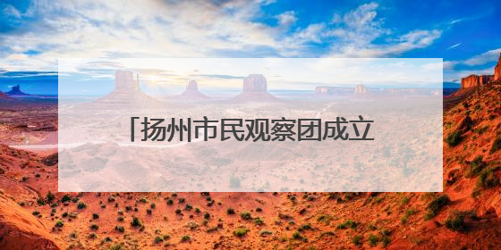 扬州市民观察团成立20周年，198人团队用脚步丈量文明 让城市更有温度