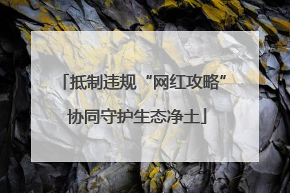 抵制违规“网红攻略” 协同守护生态净土