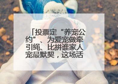投票定“养宠公约”、为爱宠做牵引绳、比拼谁家人宠最默契，这场活动有趣更有意义