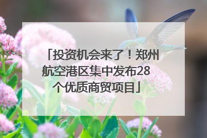 投资机会来了！郑州航空港区集中发布28个优质商贸项目