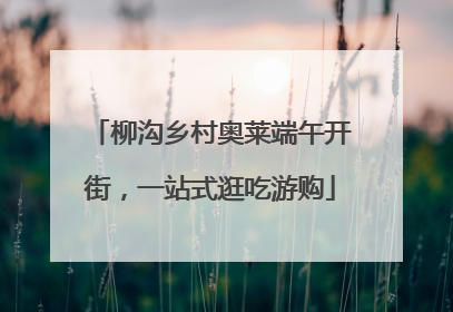 柳沟乡村奥莱端午开街，一站式逛吃游购