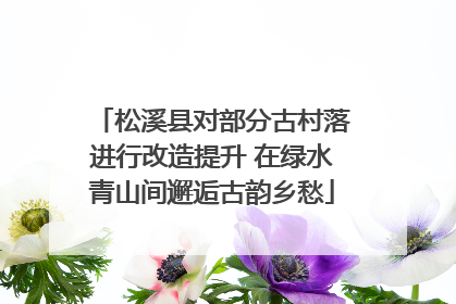 松溪县对部分古村落进行改造提升 在绿水青山间邂逅古韵乡愁