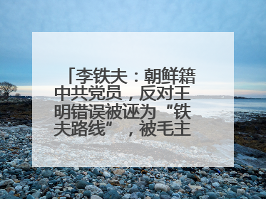 李铁夫：朝鲜籍中共党员，反对王明错误被诬为“铁夫路线”，被毛主席赞扬为与刘少奇并列的正确路线代表