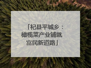 杞县平城乡：橄榄菜产业铺就富民新道路