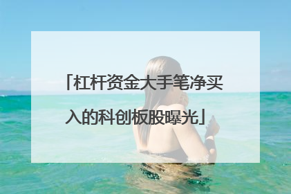 杠杆资金大手笔净买入的科创板股曝光