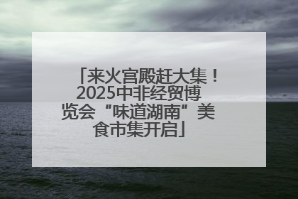来火宫殿赶大集！2025中非经贸博览会“味道湖南”美食市集开启