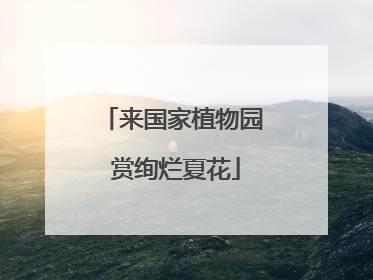 来国家植物园 赏绚烂夏花
