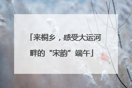 来桐乡，感受大运河畔的“宋韵”端午