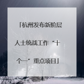 杭州发布新阶层人士统战工作“十个一”重点项目