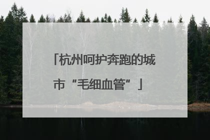 杭州呵护奔跑的城市“毛细血管”