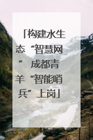 构建水生态“智慧网” 成都青羊“智能哨兵”上岗