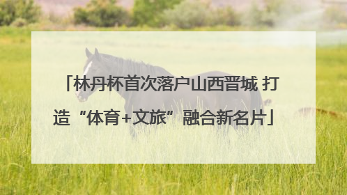 林丹杯首次落户山西晋城 打造“体育+文旅”融合新名片