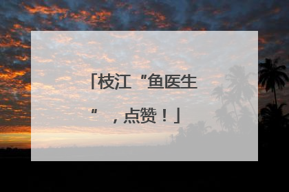 枝江“鱼医生”，点赞！