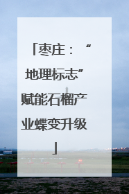 枣庄：“地理标志”赋能石榴产业蝶变升级
