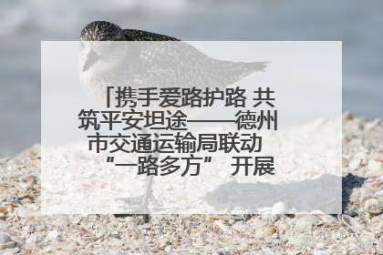 携手爱路护路 共筑平安坦途——德州市交通运输局联动 “一路多方” 开展路政宣传月活动
