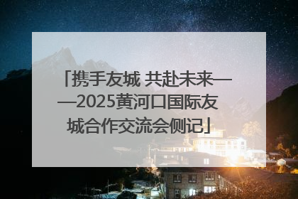 携手友城 共赴未来——2025黄河口国际友城合作交流会侧记