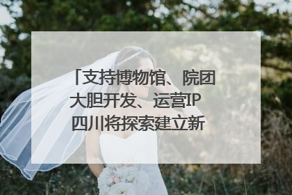支持博物馆、院团大胆开发、运营IP 四川将探索建立新的收入分配激励机制｜新闻发布最前线