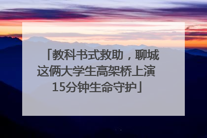 教科书式救助，聊城这俩大学生高架桥上演15分钟生命守护