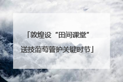 敦煌设“田间课堂” 送技葡萄管护关键时节