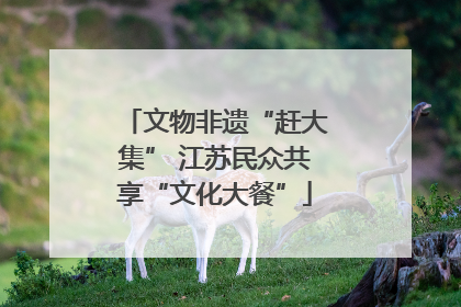 文物非遗“赶大集” 江苏民众共享“文化大餐”