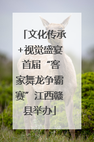 文化传承+视觉盛宴 首届“客家舞龙争霸赛”江西赣县举办