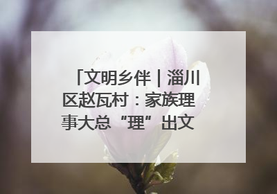 文明乡伴｜淄川区赵瓦村：家族理事大总“理”出文明新风尚